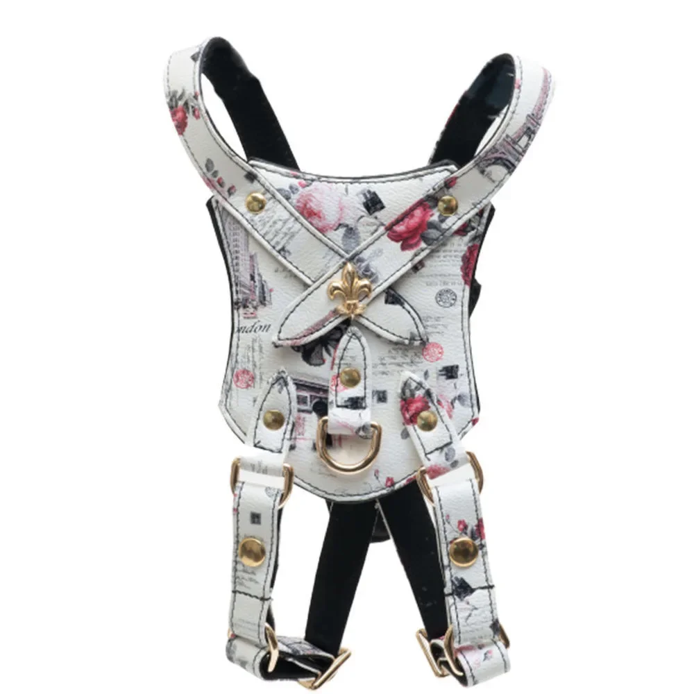 The C'est La Vie Dog Harness with Matching Leash-Medium